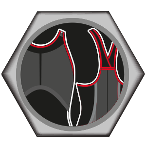 TWO-WAY MECHANICAL STRETCH BORDER